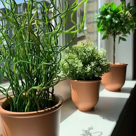 Tatil Evi Le Beau Coin